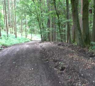 Schutzgebiet Spitzberg, Pfaffenberg