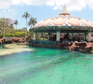 Die angelegten Fischbecken in der Anlage