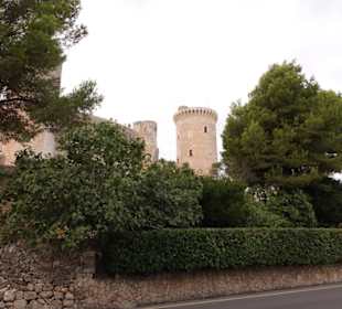 Blick von der Straße