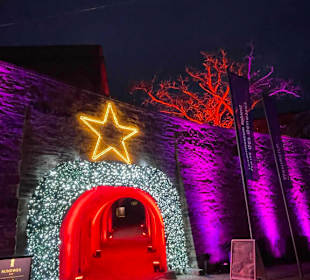 Christmas Garden Koblenz