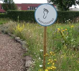 ALB-GOLD Naturgarten