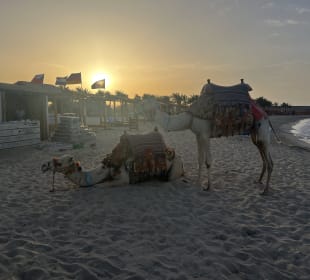 Strände Marsa Alam