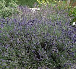 Eindrücke vom Rundgang durch den Park der Gärten