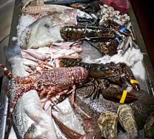 Ristorante Soleiado Rimini ristorante restaurant