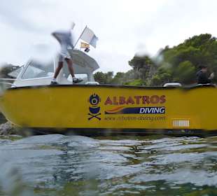 Tauchen Albatros Diving Cala Millor
