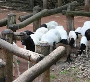 ZOOM Erlebniswelt Gelsenkirchen