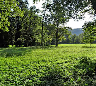 Impressionen aus dem Schlosspark Hellbrunn