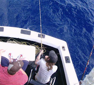 Endlich einen am Haken