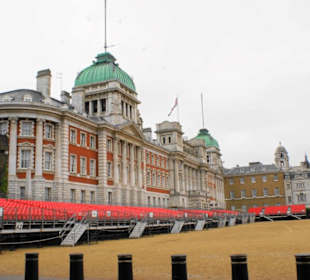 Horse Guard Impression