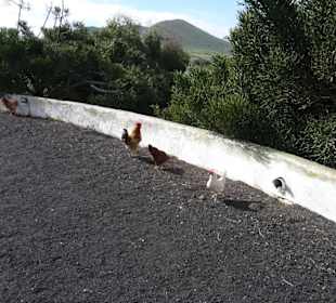 Am Eingang wird man begrüsst