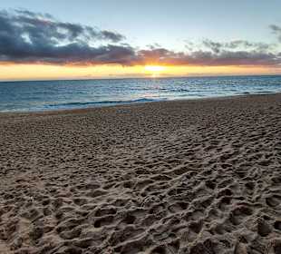 Ilha de Faro (Peninsula de Ancão)