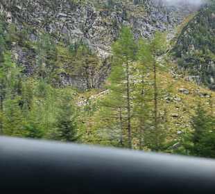 Auf der Felbern