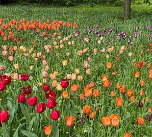 Blumeninsel Mainau