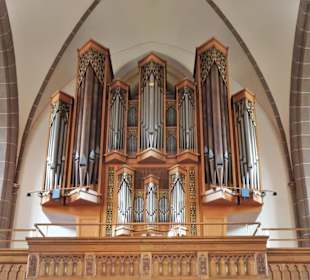 Die Orgel der Kirche St. Vitus