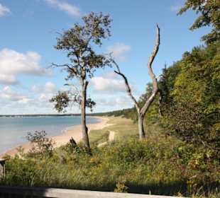 Whitfish Dunes State Park