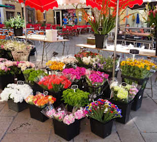 Eindrücke vom Blumenmarkt in Aix-en-Provence
