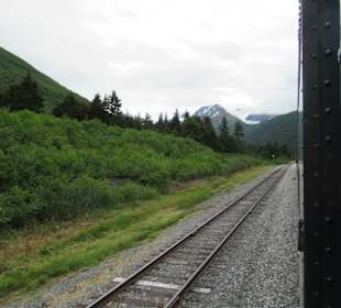 Mit der Train in der Natur Alaskas