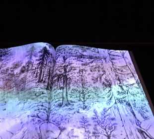 Naturparkzentrum Ruhestein