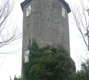 Auf dem Herrenberg bei Castell