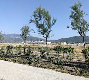 Flughafen Samos-Aristarchos (SMI)