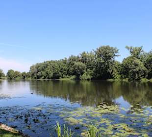 Pałac i ogród w Wilanowie