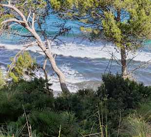 Wanderung Betlem - Ermita Betlem Artà