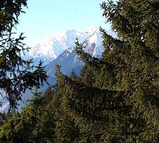 Wanderung oberhalb von Schenna 