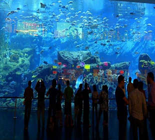 Aquarium in der Dubai Mall