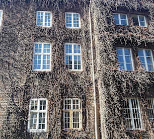 Stare Miasto Gdańsk