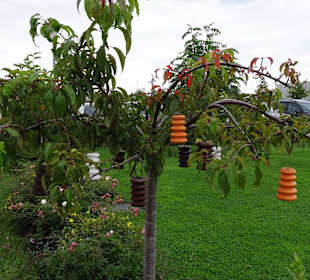 Baumbehang Baumkuchenhaus Werningerode