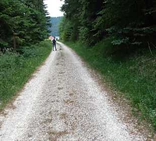Waldlehrpfad in Tieringen