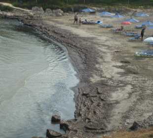 Der hässliche Strand