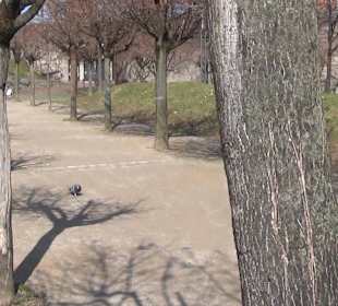 Heinrich-Böll-Platz