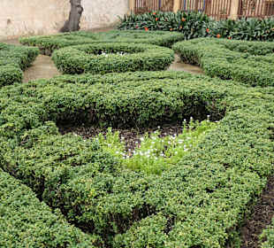 Beim Jardí del Bisbe, dem Bischofsgarten in Palma