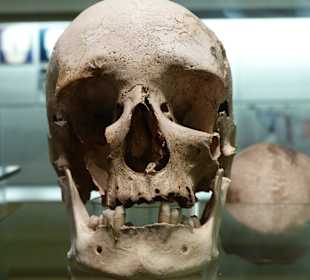 Fundstücken aus längst vergangener Zeit