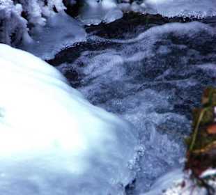Am See bei der Rodelbahn