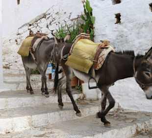 Lindos -ESEL