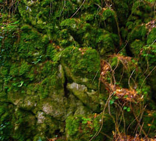 Auf-Abstieg Adlerstein Panorama