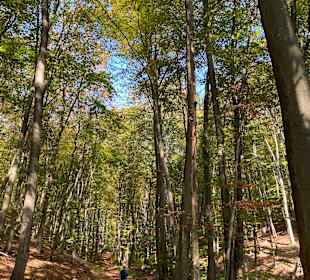Wandern Lillafüred