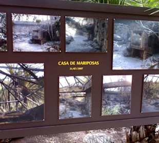 Eine Bilddoku über den Brand