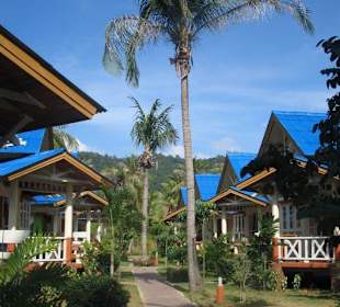 wer das Dach lieber " in Blau " mag!