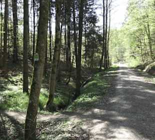 Wanderweg Hochgehwachsen