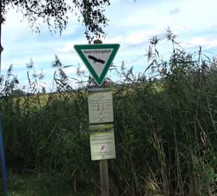 Federseesteg Bad Buchau