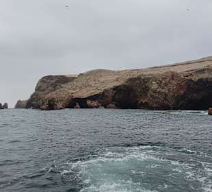 Ausflug Ballestas Inseln