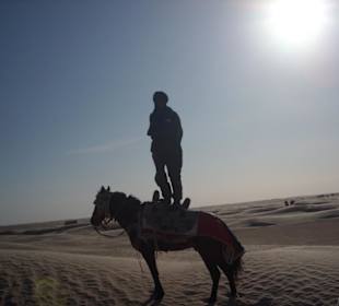 Jeździec na Saharze