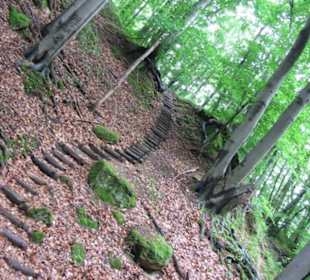 Path in moonlight valley