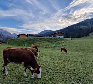 Sport & Freizeit