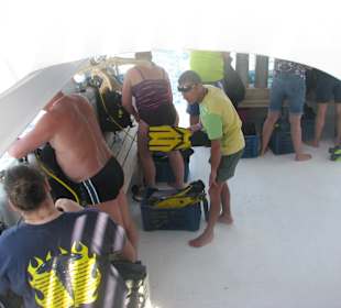 Piano Diving Club