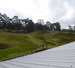 In der Anlage unterwegs