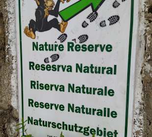 Hier geht es zu den Affen